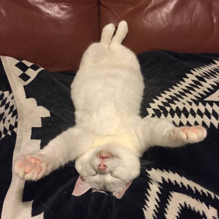 5f346aed 2c09 426b 9f13 ff91780aef34