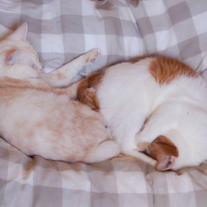 5f34d434 3878 4104 9b89 66e7571cfbb1