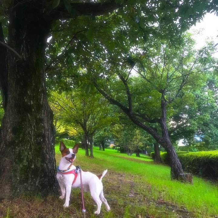 5f34f784 c1a4 4260 9094 f9b88400cca1