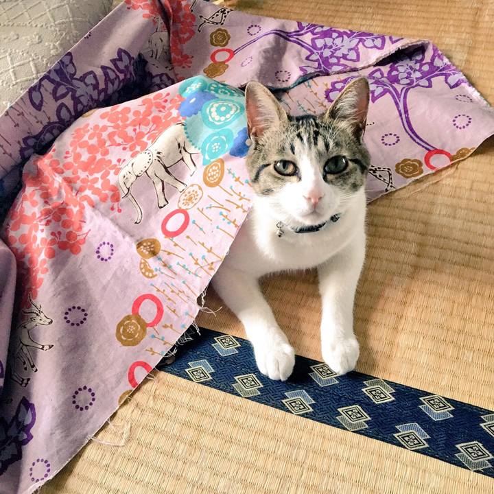 5f353647 1850 4f65 99af b3e15a7b7cd3