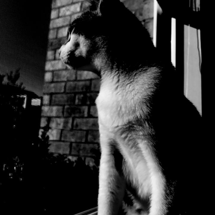 5f35661d e21c 4e12 834e fc6d6b8028d4