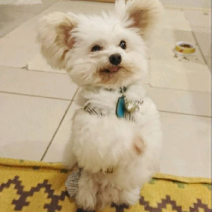 5f361507 cc8d 4e80 bcad c61a3d113843