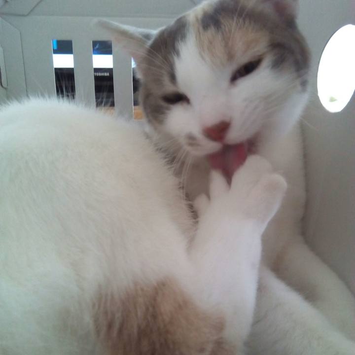 5f363dce ef52 4238 aaae 41449787006b