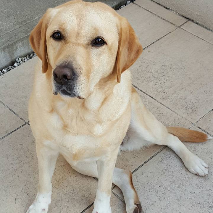 5f37433a d980 480c 9069 d9d0b3af66a7