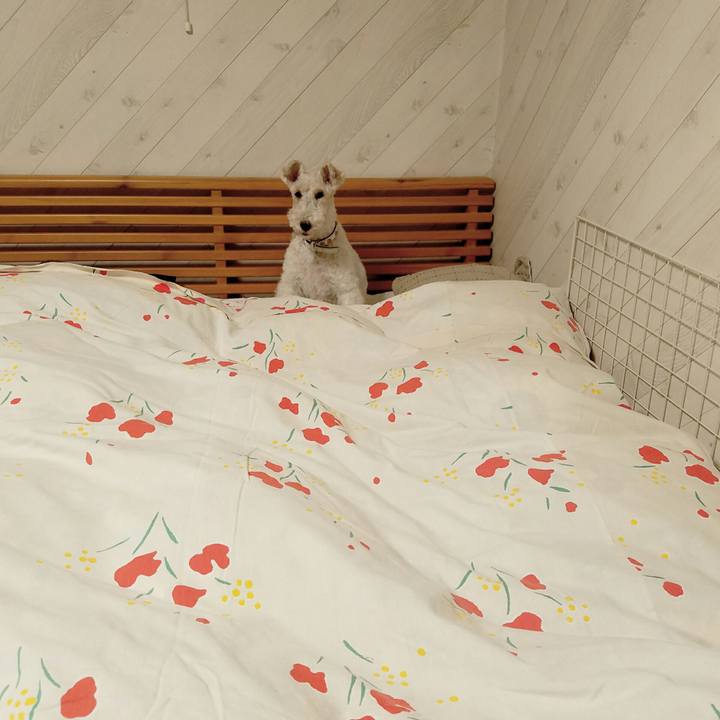 5f37884d 9fbd 4150 9ef8 cdeebdbc255c