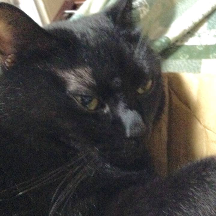 5f37b6a1 477d 4786 9db1 c07258ce7296