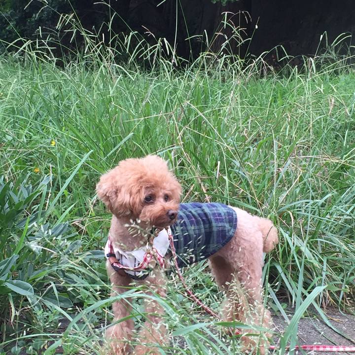 5f37ce18 4e34 40dd 929a 3fbfe6d7e60d