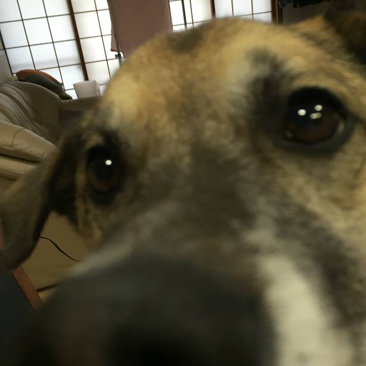 5f37d07d 9946 463d a4c1 93eb64765e9d