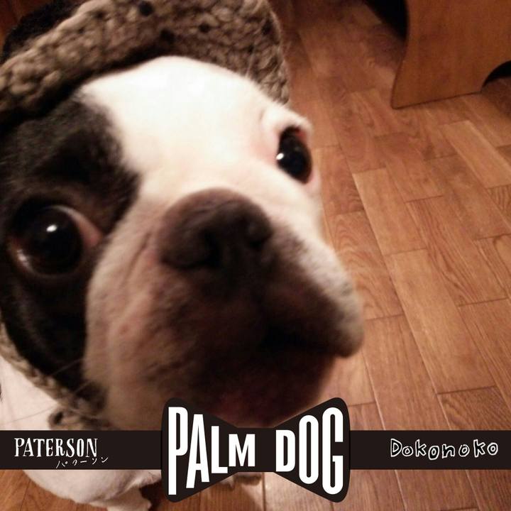 5f37e08d eab2 44c0 b4ce e405ac699d99