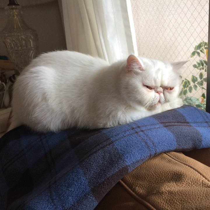 5f3853f7 9675 4e72 b553 8f23bb6c3201