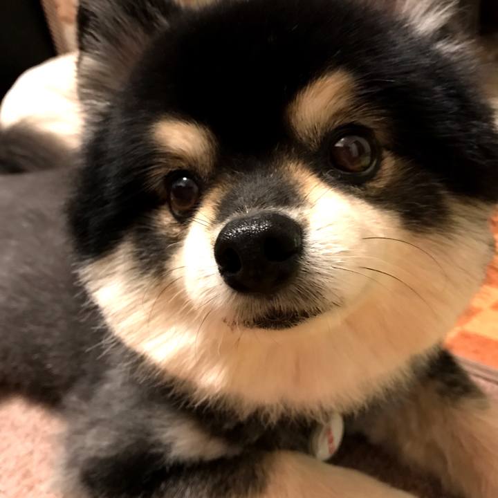 5f386450 4238 41a3 bee5 3d2ef9686fcc