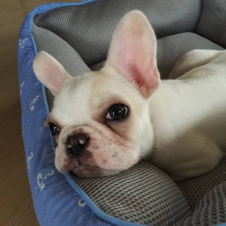 5f38f038 12d6 4132 b3dc 41611c3794a8