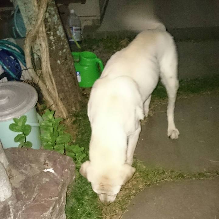 5f3abc03 f037 453c a1b2 c5b4829687c4