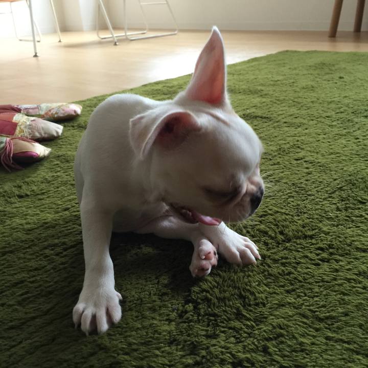 5f3b0ec4 702f 48f3 b4c1 009735c1a2fc