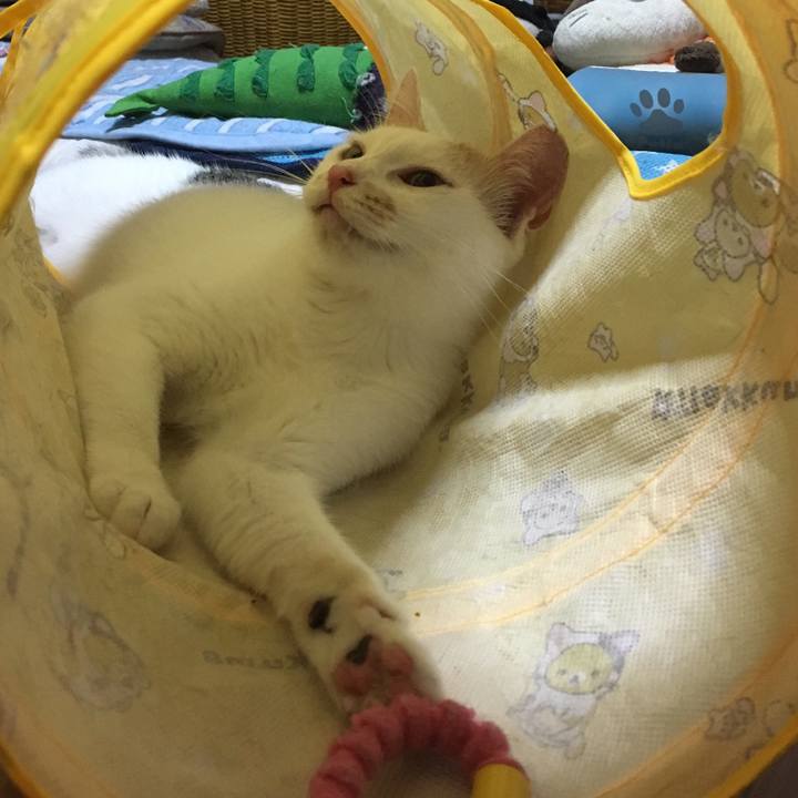 5f3b617c 96f4 461b b32d eddfb7f79483