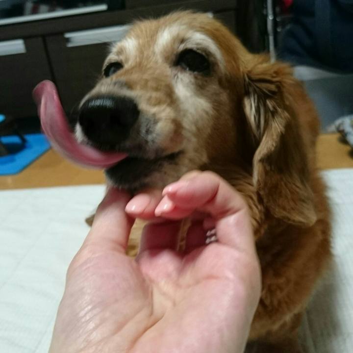 5f3c23cd bb64 4464 a9d8 0df840fe478c