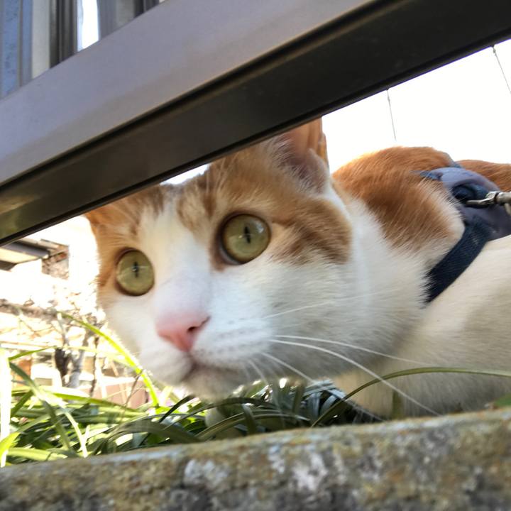 5f3c5fcc f5ed 4ca2 a633 145bcecdeab1