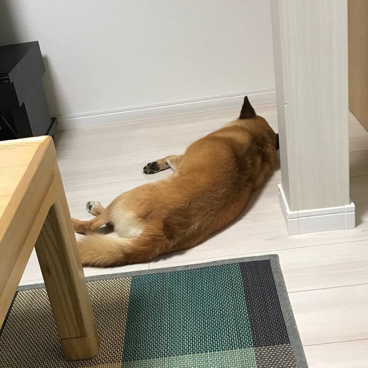 5f3cc019 e225 4aeb bb36 fbdcc0000d45