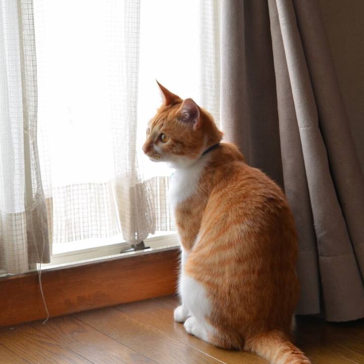 5f3cc0a5 2881 4afa 9cb5 db134b09b375