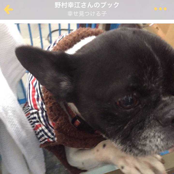 5f3cdead 1c4d 4c66 a74e 0b6848655aea