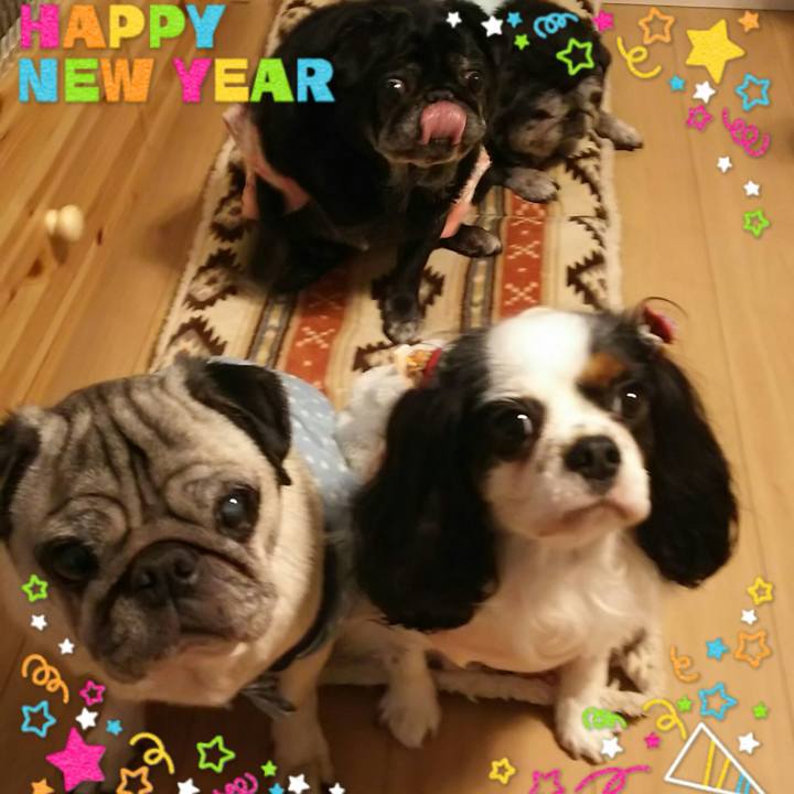 5f3d88f6 9d57 45c9 a3e3 405dd7564fb9