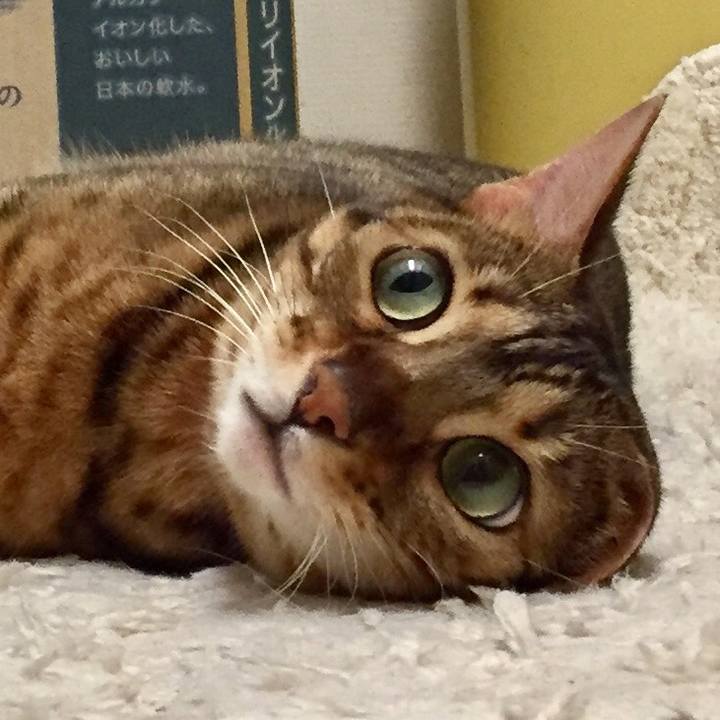 5f3e000c 8611 4cf1 a324 091b12a85465