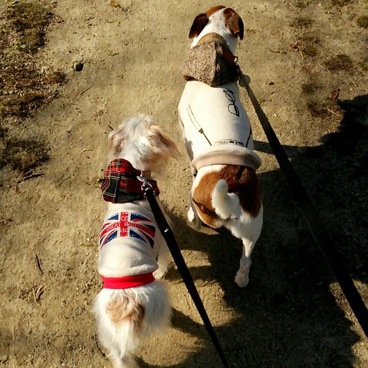 5f3e0516 c202 48da 9b4f 0a64bae5ceb5