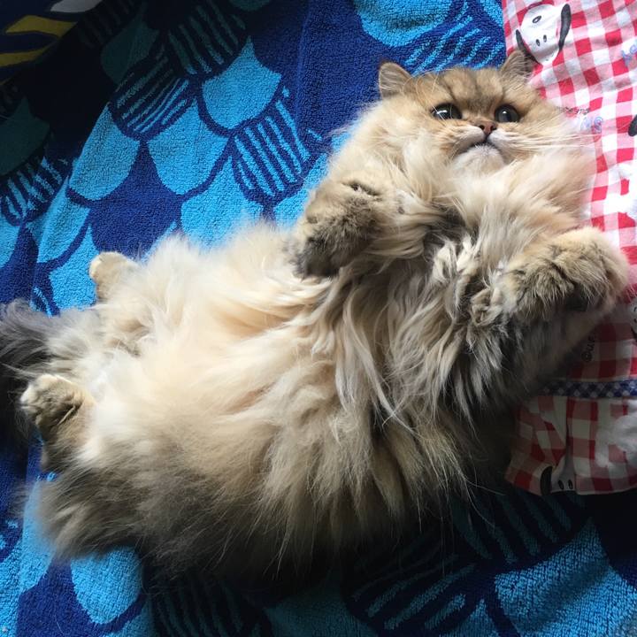 5f3e7dd4 5f47 4fb7 99bd 3beaf5abedb4