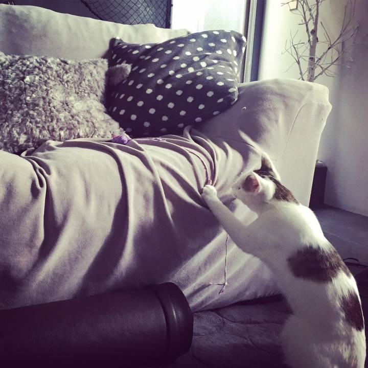 5f3ed599 8af4 4802 bd70 896c5ee12928