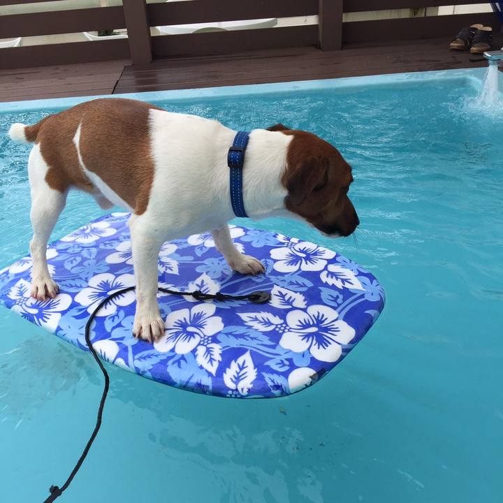 5f3efc84 e1f0 41b7 a9e3 484694eb485b