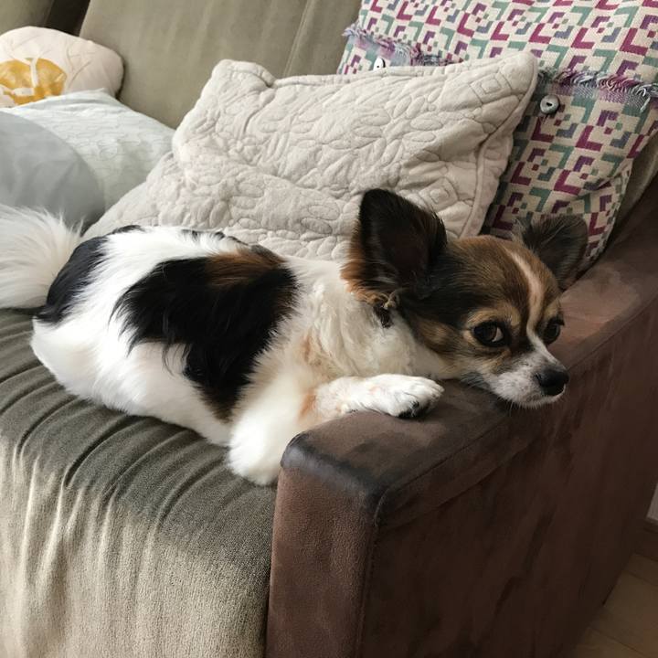 5f3f047f 80c6 4a94 ab83 dafa45142abb