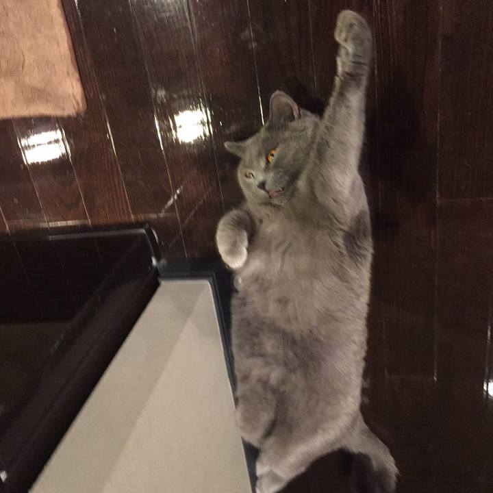 5f3f6b5e a554 4a48 a31b 51dc68884db8