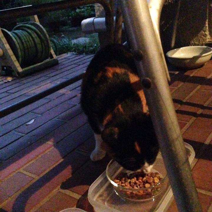 5f3fff66 62f2 4942 aace 09dcec1025d3