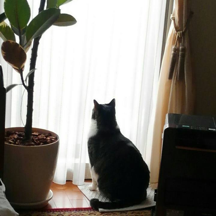 5f40f631 5362 440f b8ad 6bf01af16184