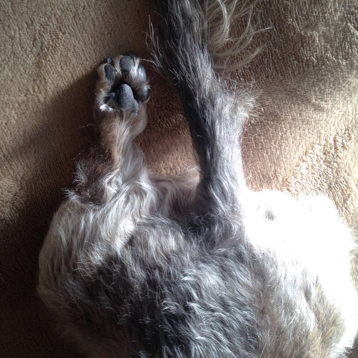 5f4167e3 5db0 4ce2 9dca cbb881937c38