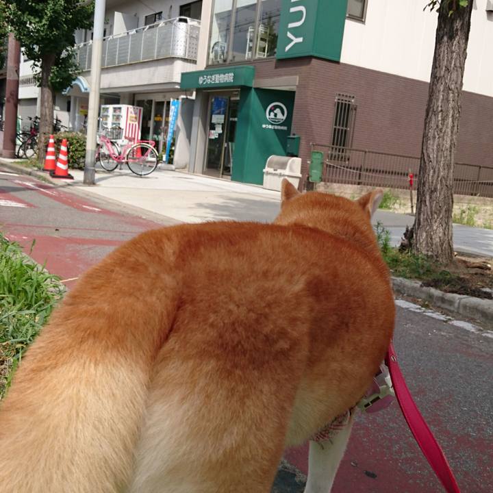 5f4192f0 479e 447d ac5d 28eff6051f8c