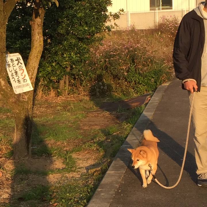 5f419a95 4d53 463e a875 05ef83cde80e