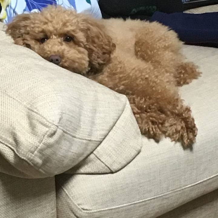 5f41a24a 93c2 4089 aa39 9df1929f7d7b