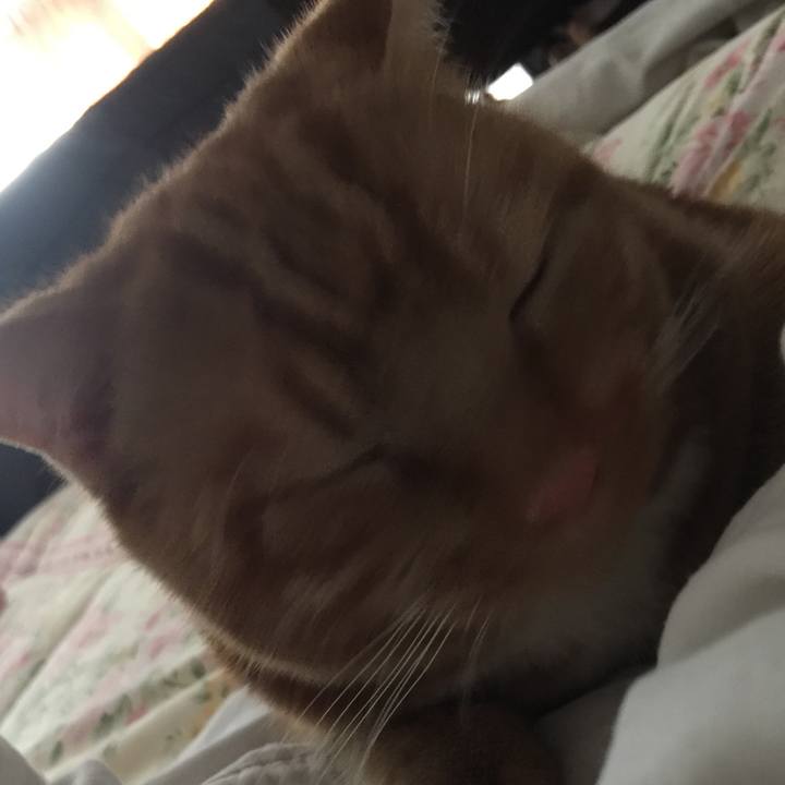 5f422133 63ed 431f a8bd c9c29f6f7952