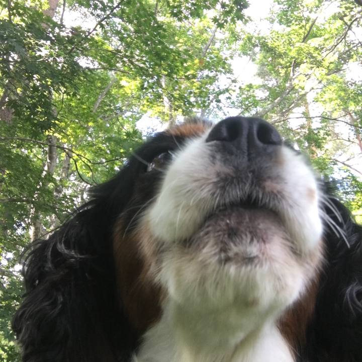 5f429209 ff9a 4cb0 a351 fd1904e8c6e5