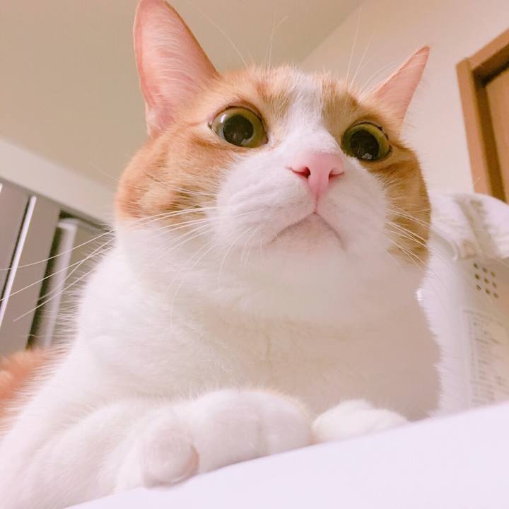 5f42b240 fafa 4097 bbdf f8dfa8bd2c96