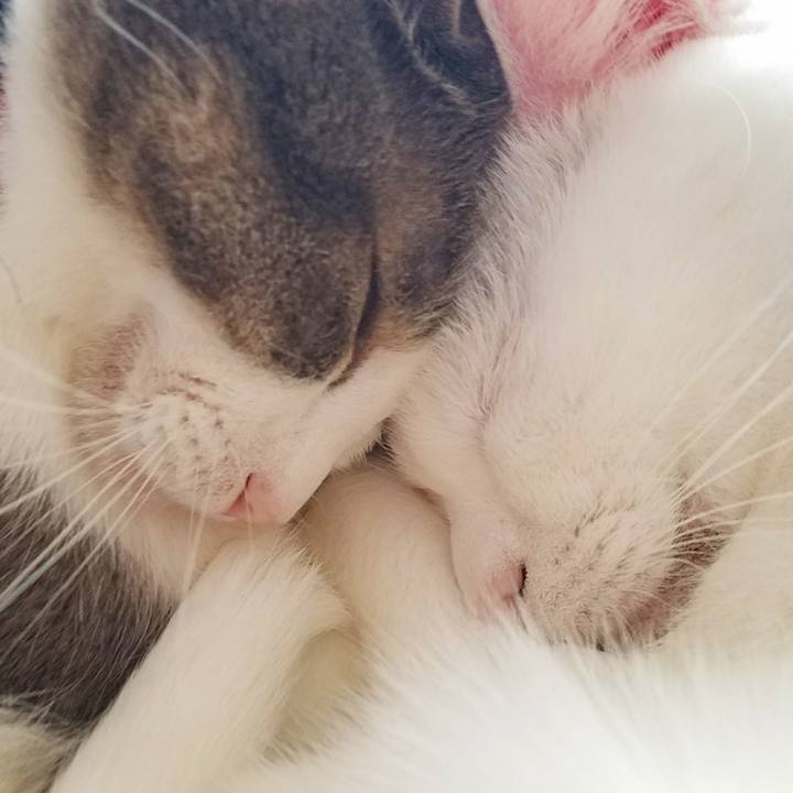 5f437659 69c9 422e ab62 48f7bf225345