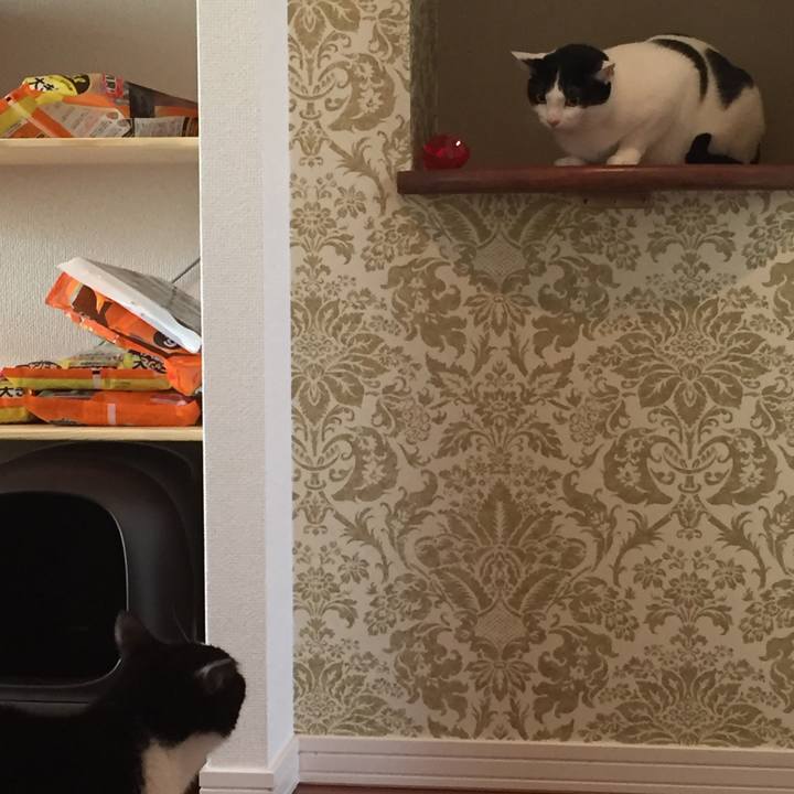 5f43de91 d14d 4928 994c 7b73cca95570