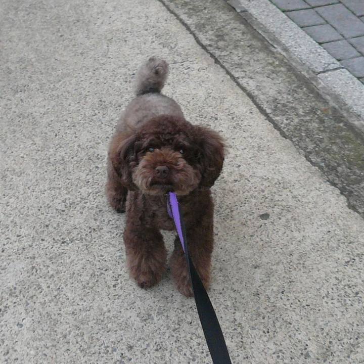 5f44a71b 74cf 45bc 8084 df7b938547be