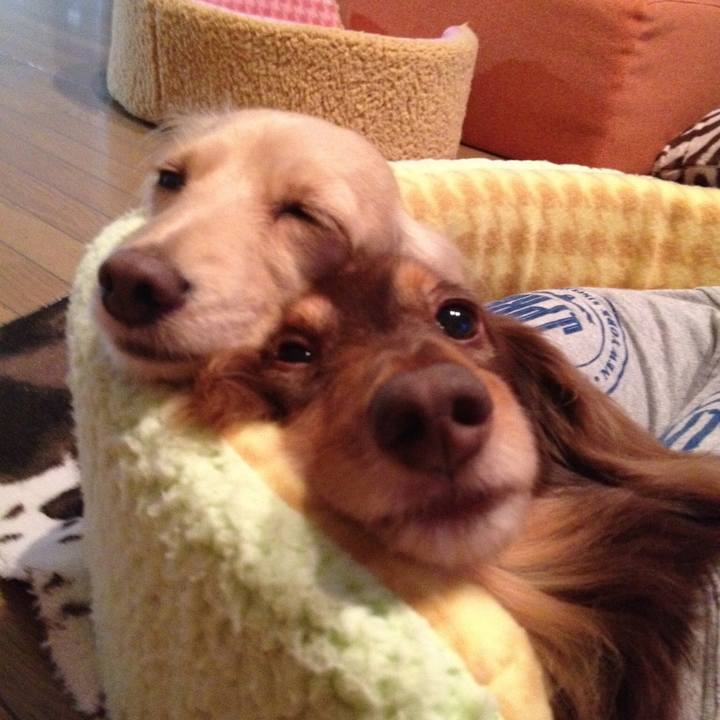 5f44e8e5 2e93 474a 91fa 551055b52707