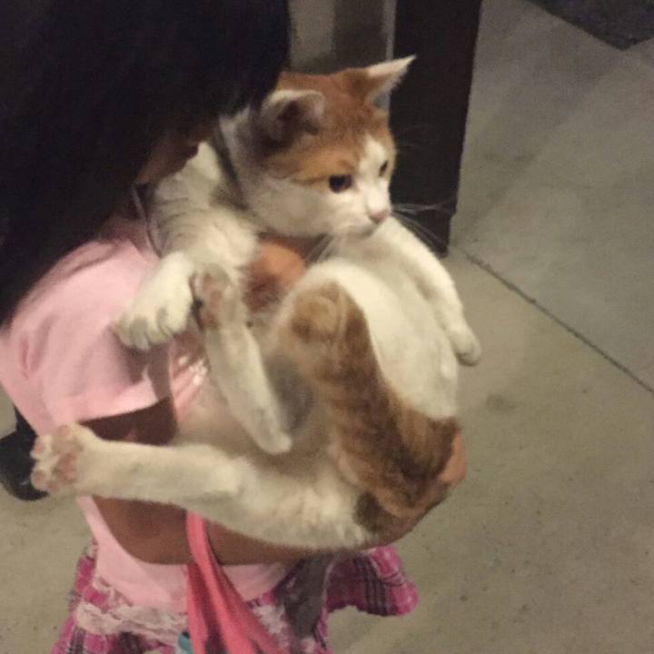 5f44f18d 7a7c 4ec2 92c0 81b882981a7e