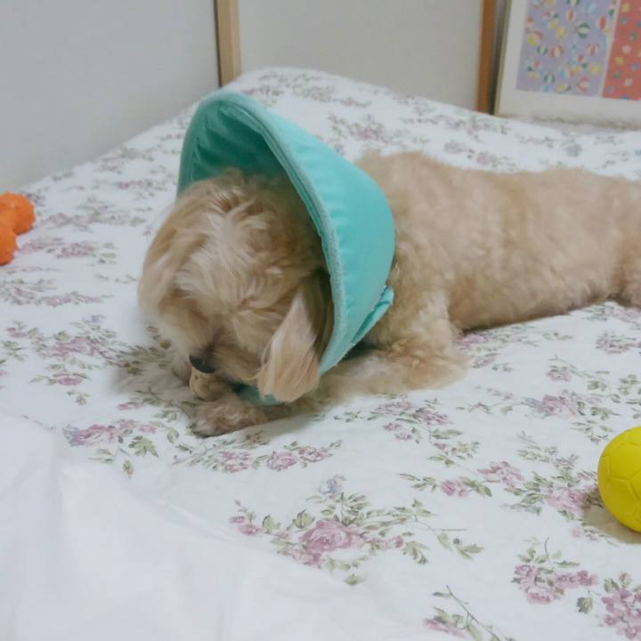 5f44f95b 6e30 4d3c 8a84 b3ccb67ff849