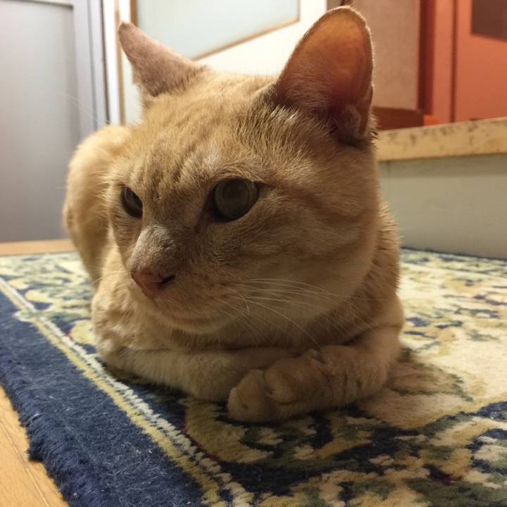 5f451a43 5edc 48a9 8024 34a8c6108c7f