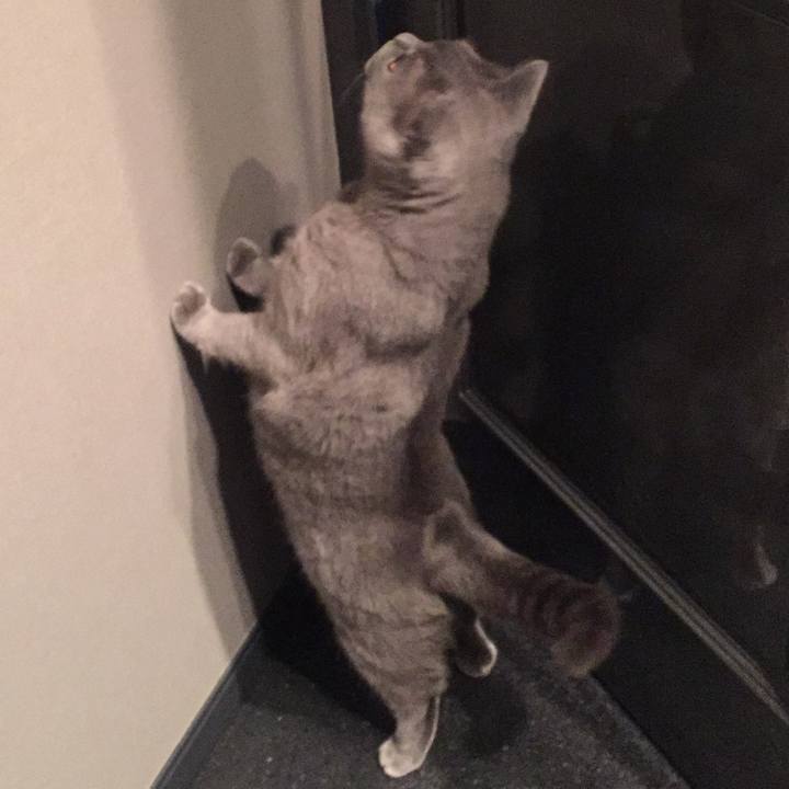 5f45f228 4f36 4e02 8443 3d6bf30819d5