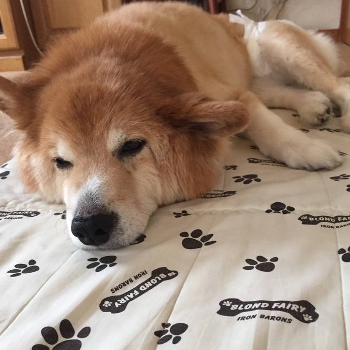 5f469b1e 4062 481c 9cdb 7382617fd110